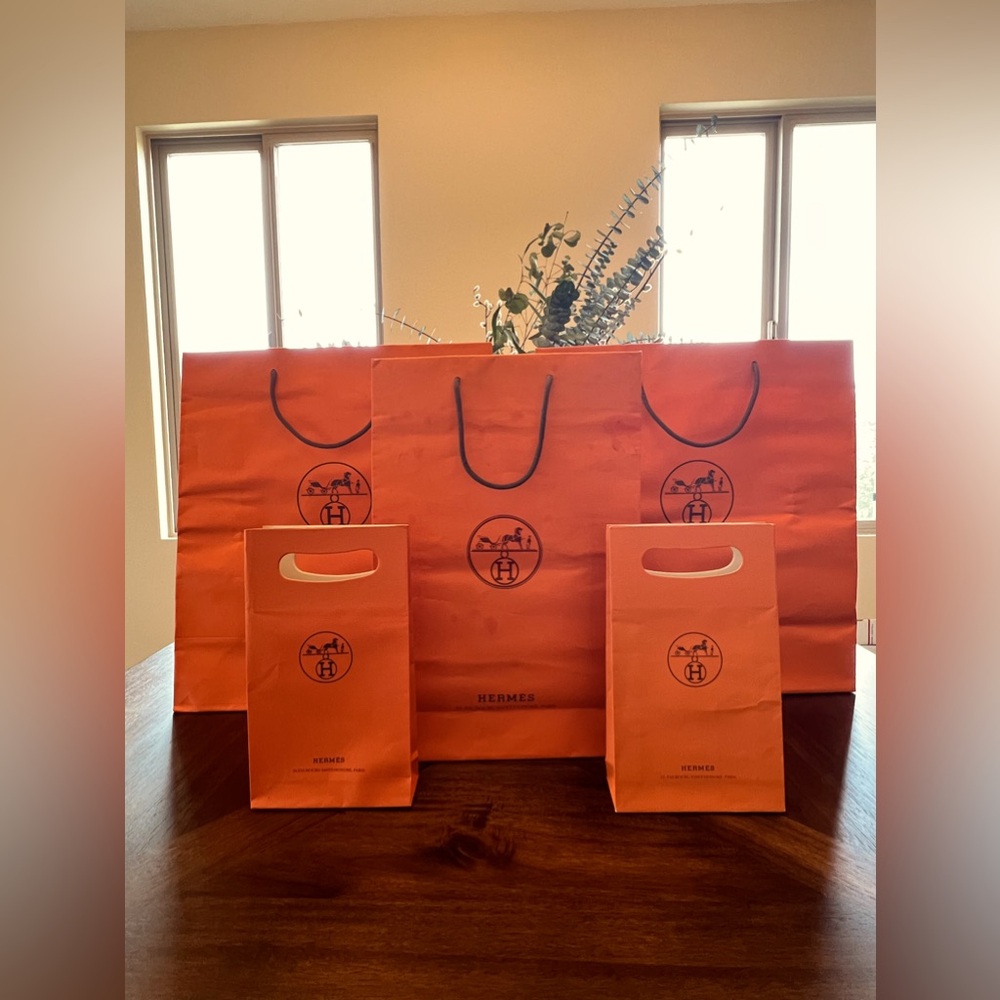 Hermes set of 5 shopping bags